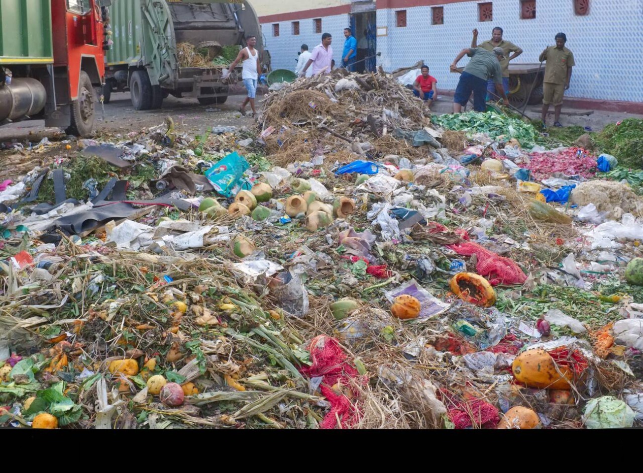 Municipal Solid Waste